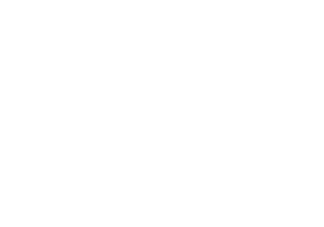 様